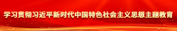 美女被插逼网站学习贯彻习近平新时代中国特色社会主义思想主题教育